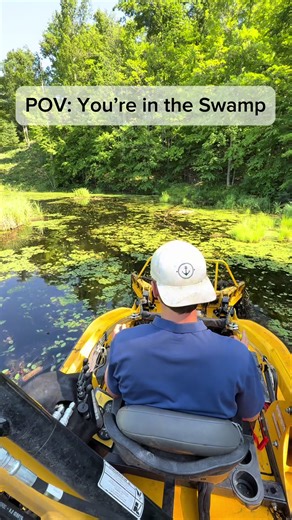 #seaweedremoval #swamp