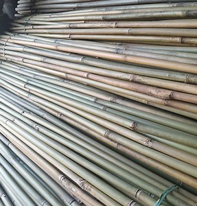 [Hot Item] Bamboo Garden Stakes/Bamboo Plant Supports