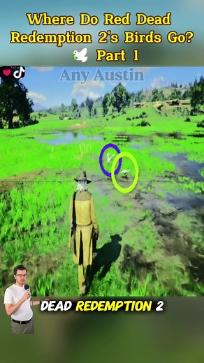 Exploring Birds in Red Dead Redemption 2: Where They Go