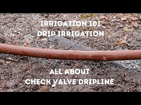 All About Dripline with Check Valves || Drip Irrigation (Irrigation Training)