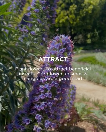 The Diggers Club on Reels | Facebook