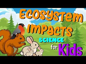 Ecosystem Impacts | Science for Kids - Videos For Kids