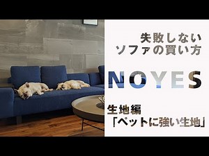失敗しないソファの買い方～生地編～ 猫ちゃんに強い生地はコレ！強度、耐久性、メンテナンスなどなど、ソファにとって最も大切な部材の１つ「生地」について解説します。