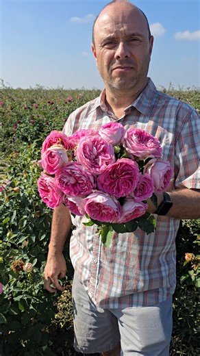 💥 Fashion Forward is as bold as it sounds. This Floribunda rose brings nonstop color and modern flair to your garden, delivering stylish blooms that wow from season to season. See it here: https://bit.ly/4pMCTYM | Breck's Bulbs