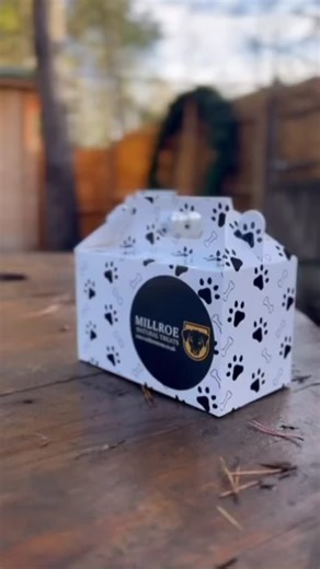 🎄Xmas Meaty Strips Box 🎄⁣⁣ ⁣⁣ A closer look at our Meaty Strips Box 🐶 Already boxed ready to go under the tree for your furry friend. Our meaty strips box has each flavour of our air dried single ingredient meaty strips. ⁣⁣ ⁣⁣ Great for a quick snack and a little protein kick with hidden additives 🎉⁣⁣ ⁣⁣ #gundog #millroenaturaltreats #meatytreats #naturaldogtreats #happydog #xmasshopping #dogsnacks #muntjactrading | Millroe Natural Treats