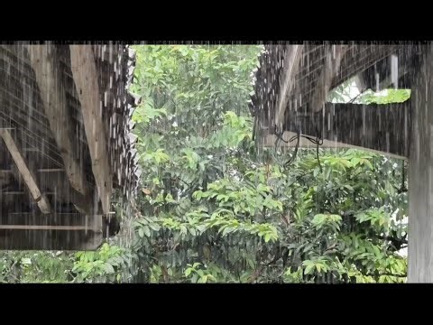 Powerful Heavy Rain in the Countryside | Soothing Storm Sounds for Stress Relief”