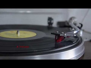 Enigma - The Voice Of Enigma Principles Of Lust, Vinilo, 1990