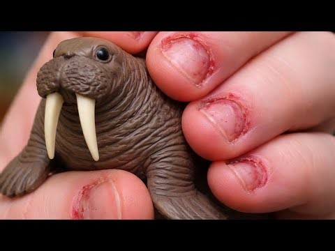 AC3 LIVESTREAM - Are Lowest tier luxury watches value?