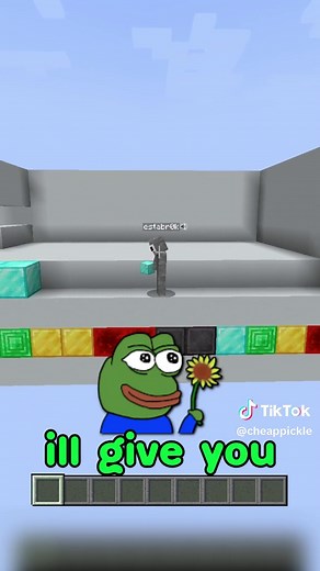 The Overreaction in Minecraft Color Match Game