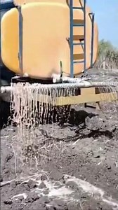 Cow manure spread in soil