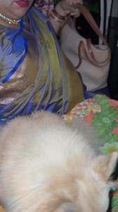 maa baba chole jacche 🥲 | Ashwariya Mukherjee