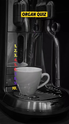 Challenge Your Knowledge with This Quiz