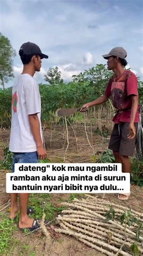 IF YOU WANT TO BUY, FIND SEEDS FIRST