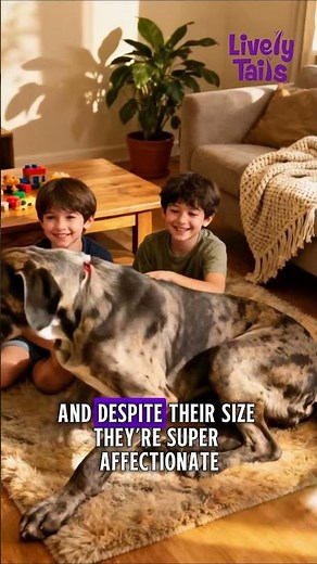 The Biggest Dog Breed in the World: Meet the Gentle Giant 🐶💥 | Great Dane Facts