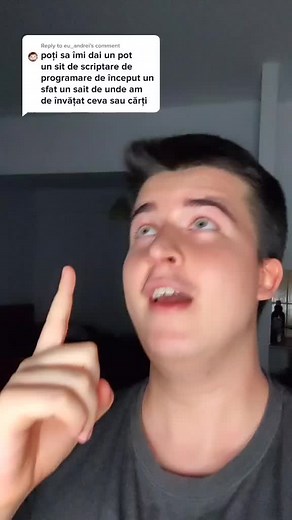 Reply to @eu_andrei #romania #computers #fyp #it TikTok