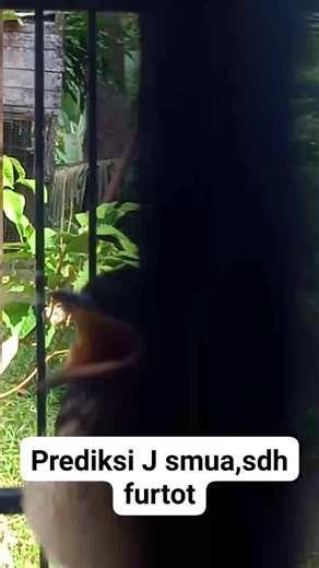 Ruwandi Onedi on Reels | Facebook