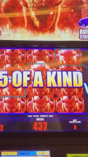 INSANE Freeplay Buffalo Slot Machine Win!