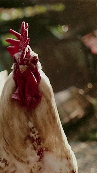 2.1K views · 25 reactions | … | Outline In Color | Facebook