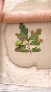 737K views · 6.9K reactions | In keeping with my theme of Oak trees...