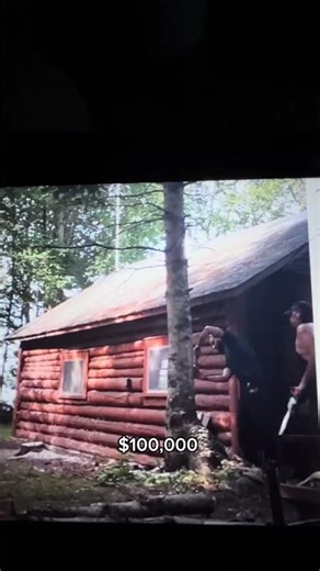 Precision Tree Removal at the Border #Arborist #TreeRemoval #Timber