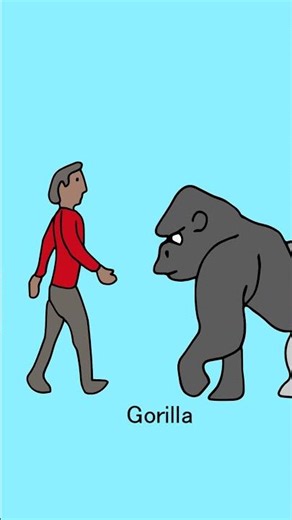 African Animal Size Comparison #Hyena #Zebra #Gorilla #Rhino