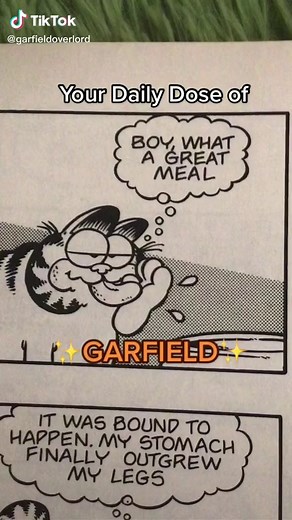 Garfield Weight Gain Comic Collection