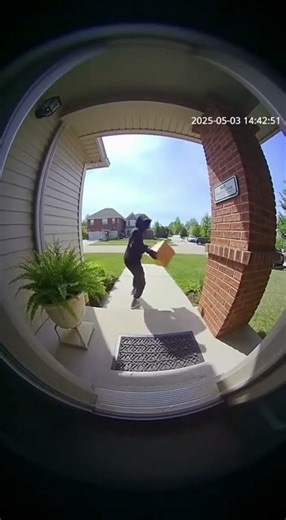 Doorcam: Package Thief Gets Rainbow Glitter Bomb Surprise Explosion 💥✨🎯 #GlitterBomb