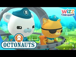 ‪@Octonauts‬ - Ready for Action! | Compilation | Wizz Cartoons