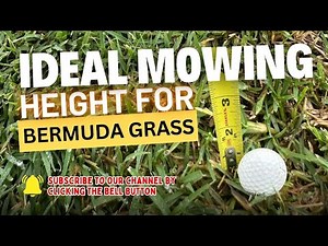 Rescuing a Bermuda Lawn: Fixing Thatch, Mowing Mistakes, and Spring Yellowing