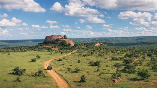 Is this the real African savannah experience?