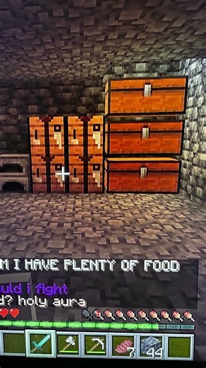 Day three ￼ on lifesteal smp Java