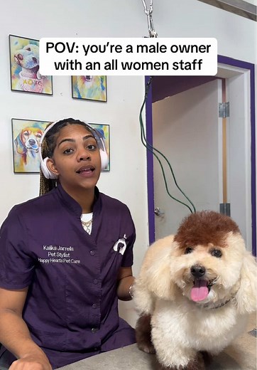 Boss or Employee? Humorous Team Dynamics Explored