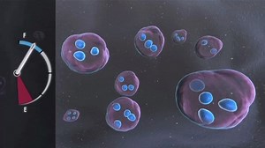 8.3K views · 151 reactions | Methamphetamine can cause significant changes to the brain. Some are immediate and some happen over time. From delusions and hallucinations to crippling withdrawal marked by anxiety and depression, Meth changes systems in the brain that regulate emotions and the ability to experience pleasure. Confusion, cognitive impairment and thoughts of suicide are also common. #NotEvenOnce | Montana Meth Project | Facebook