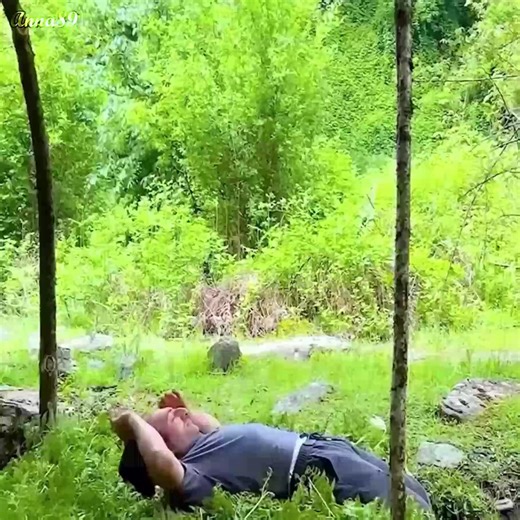 12K views · 204 reactions | Alone in the Wild Building a Shelter with Deciduous Trees - Solo Overnight in th- | Anna89 | Facebook