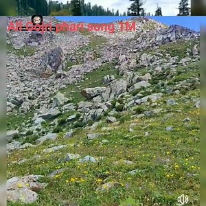 71K views · 5.6K reactions | Gojri song  | Amazing Posts | Facebook