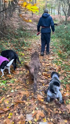Muddy Boots 'n' Furry Feet on Reels