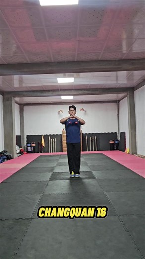 La Forma de 16 movimientos de Chang Quan en Wushu Moderno