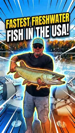 Fastest Freshwater Fish in the USA #fastestfish#freshwaterfish#usafishing