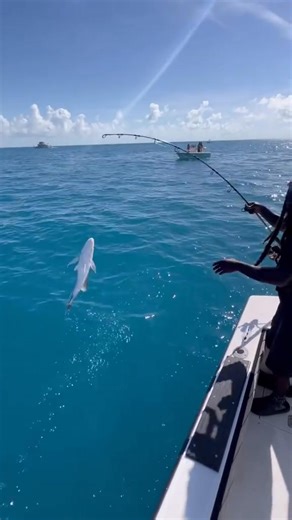 🔥🎣💯 #fishing #fish #hoodfishing | Hood Fishing Entertainment