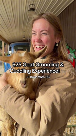 Experience Goat Cuddling at Great Country Farms