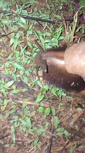 Tuko malishoni🤸‍♀️ | Elisabeth Kanyiva