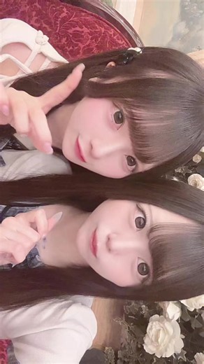 @ちわわ