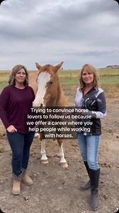 We aren’t kidding, just ask us how. | Equine Connection - The Academy of Equine Assisted Learning Inc