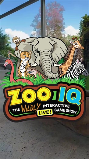 Our final weekend of our new interactive game show, Zoo IQ, is happening this weekend! 🏆 Don’t miss your chance to win prizes, interact with animals, and go toe-to-toe against other contestants as you put your animal knowledge to the test! 📍 Sami Family Amphitheater 🕒 11:30 AM & 2:30 PM 📅 April 4th & 5th