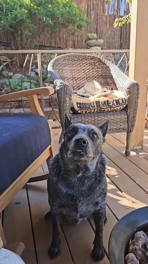 20 reactions · 10 comments | November 4th, packed and organized the blue 4runner, making a mojave desert run this weekend, I haven't camped since December 2023, January of 2024 I started dialysis so it kind of changed the course of my life. Hit the trails above my house for a quick dirt ramble and watched the sun set from my front porch. Now that Baseball is over till Spring what to do?!?! 浪 #4thgen4runner #scottpaton #scottemtb #sunsets | Hugh Smitham | Facebook