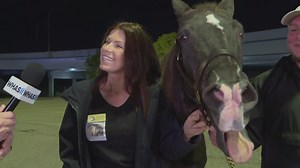 'Horse sensing' program in Kentucky helps veterans, people in recovery