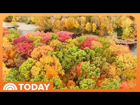 Here Are the Best Road Trips to See Fall Foliage in 2025