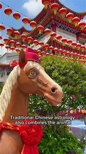 How old is the Chinese horoscope?!