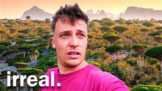 Socotra: 7 días explorando la isla más extraña y remota del mundo