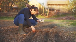 Woman Putting Seeds Soil Stock Footage Video (100% Royalty-free) 1052485027 | Shutterstock